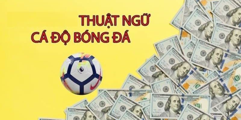 cách nhận biết các thuật ngữ cá cược vn88