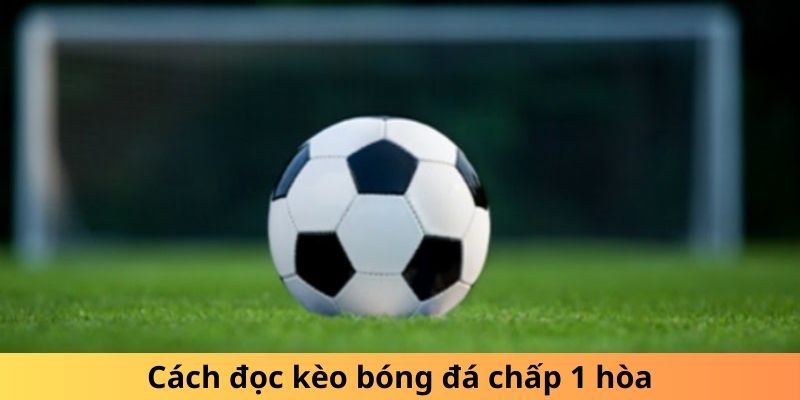 Cách đọc kèo bóng đá chấp hòa trong cá độ cho tân thủ